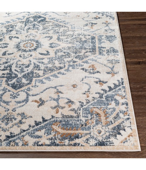 Livabliss St tropez SRZ-2300 7 9 x 9 6 Rug