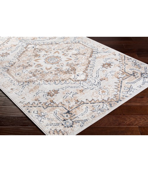 Livabliss St tropez SRZ-2314 5 2 x 7  Rug