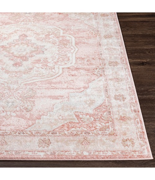 ST TROPEZ RUG Livabliss St tropez SRZ-2321 6 6 x 9 2 Rug