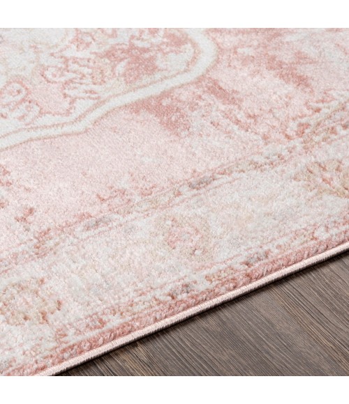 ST TROPEZ RUG Livabliss St tropez SRZ-2321 6 6 x 9 2 Rug
