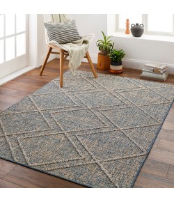 Livabliss Sarasota SSO2302 Blue Tan Area Rug 2 ft. X 3 ft. 9 in. Rectangle