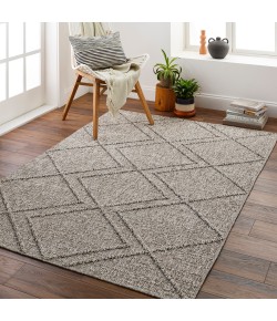 Livabliss Sarasota SSO2307 Taupe Tan Area Rug 2 ft. 5 in. X 7 ft. 3 in. Runner