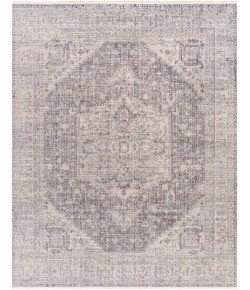 Livabliss Subtle SUB2321 Light Gray Ivory Area Rug 7 ft. 10 in. X 10 ft. Rectangle