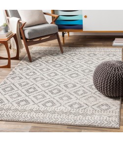 Surya Sunderland SUN2301 Light Gray White Area Rug 5 ft. 3 in. X 7 ft. 3 in. Rectangle