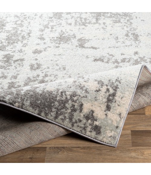 Livabliss Sunderland SUN-2318 Area Rug