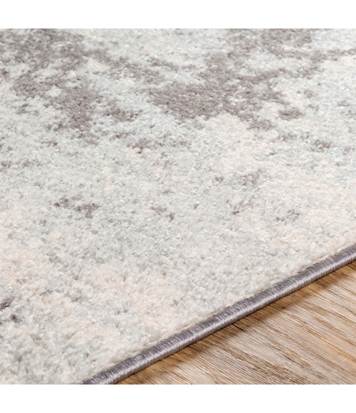 Livabliss Sunderland SUN-2318 Area Rug