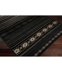 Surya Paramount PAR1047 Black Charcoal Area Rug 5 ft. 3 in. X 7 ft. 9 in. Rectangle