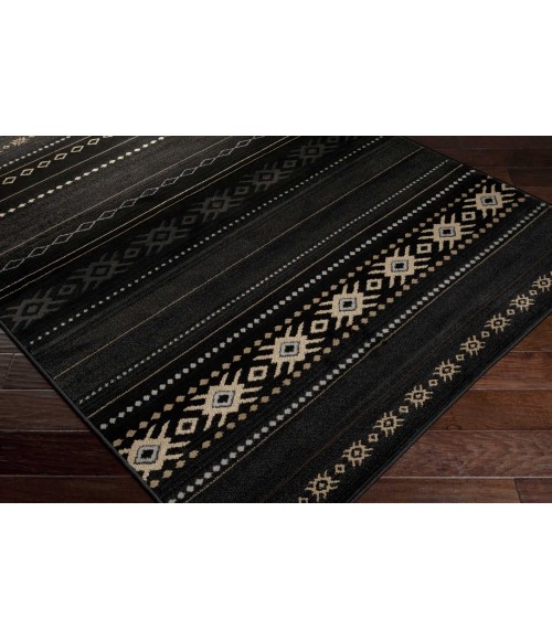 Surya Paramount PAR-1047-2x3 rug