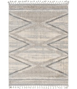 Livabliss Sousse SUS2300 Gray Light Beige Area Rug 9 ft. 6 in. X 12 ft. Rectangle
