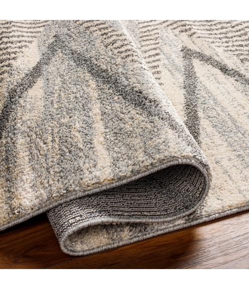 Livabliss Sousse SUS-2300 210" x 10 Rug