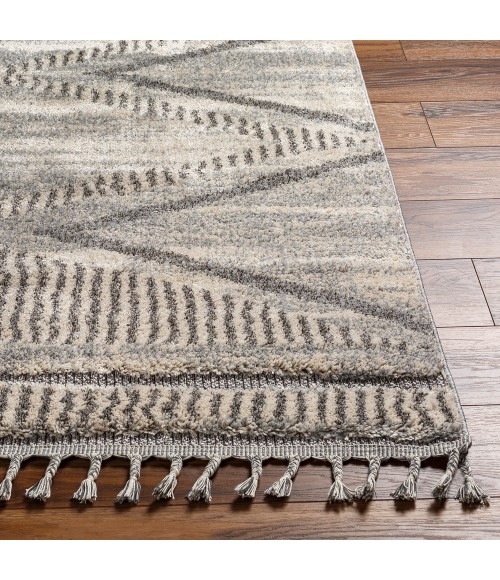 Livabliss Sousse SUS-2300 210" x 10 Rug