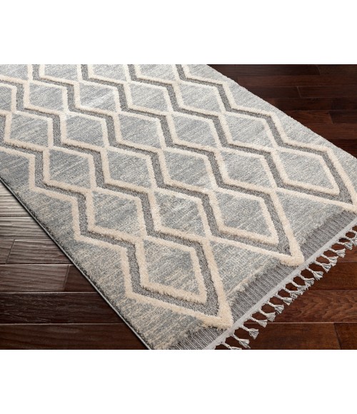 Sousse Area Rug Livabliss Sousse SUS-2301 210" x 10 Rug