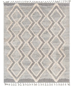 Livabliss Sousse SUS2301 Gray Light Gray Area Rug 8 ft. 2 in. X 10 ft. Rectangle