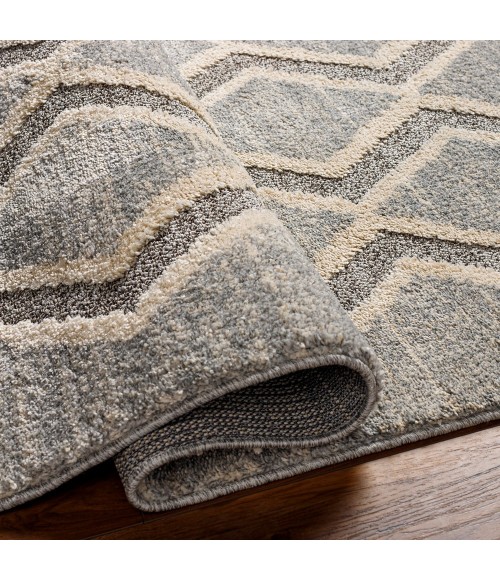 Sousse Area Rug Livabliss Sousse SUS-2301 210" x 10 Rug