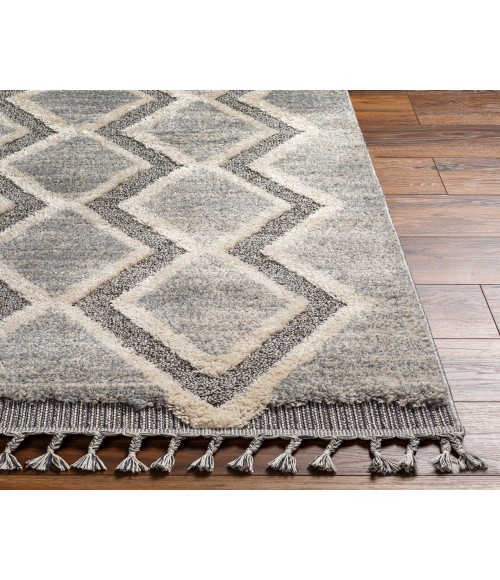 Sousse Area Rug Livabliss Sousse SUS-2301 210" x 10 Rug
