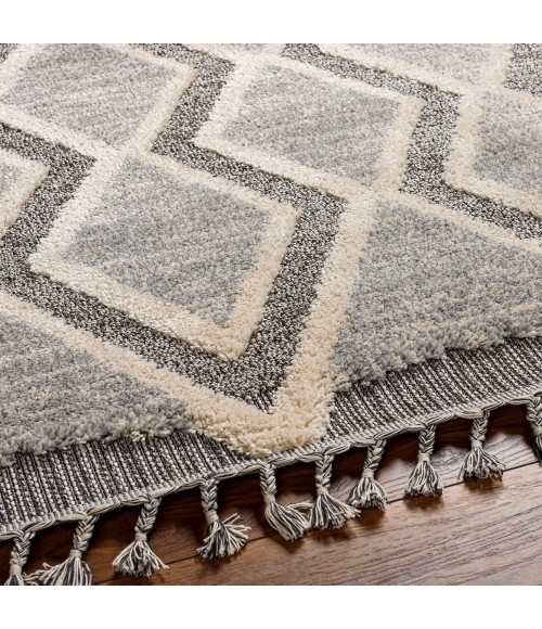 Sousse Area Rug Livabliss Sousse SUS-2301 210" x 10 Rug