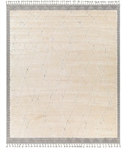 Livabliss Sousse SUS2303 Light Beige Gray Area Rug 4 ft. 2 in. X 5 ft. 7 in. Rectangle