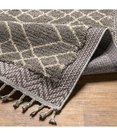 Livabliss Sousse Rug SUS2306