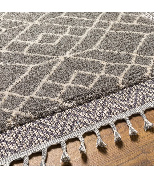 Livabliss Sousse Rug SUS2306