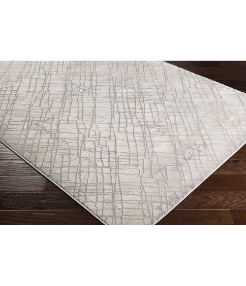 TIBETAN RUG Surya Tibetan TBT-2314-93x123 rug