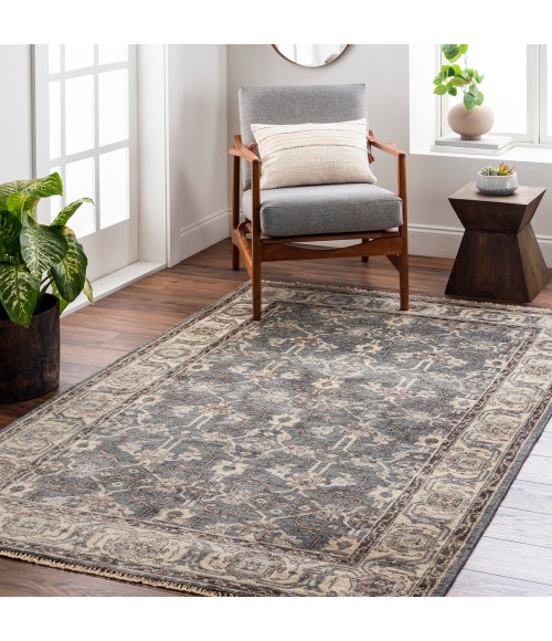 Surya Theodora THO-3001-2x3 rug