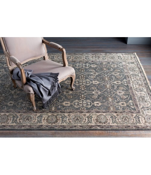 Surya Theodora THO-3001-2x3 rug