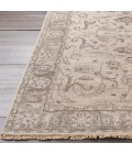 Surya Theodora THO-3003-4x6 rug