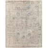 Surya Theodora THO3008 Denim Sky Blue Area Rug 8 ft. X 10 ft. Rectangle