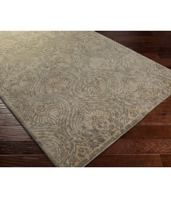 Surya Thompson THP1001 Tan Taupe Area Rug 4 ft. X 6 ft. Rectangle