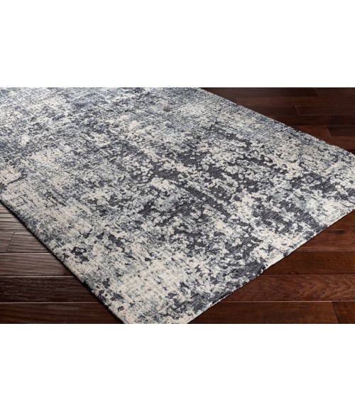 Surya Talise TLE-1008 2  x 3  Rug
