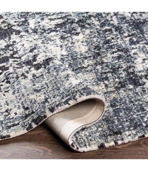 Surya Talise TLE-1008 2  x 3  Rug