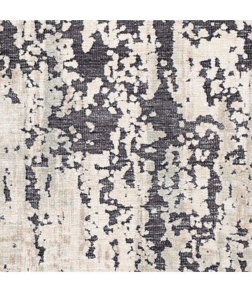 Surya Talise TLE-1009 5  x 7 6 Rug