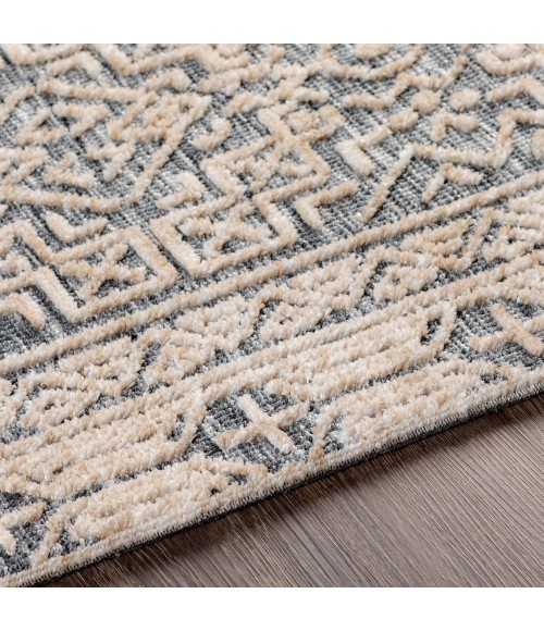 TALISE RUG Surya Talise TLE-1011 8 x 10 Rug