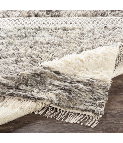 Livabliss Tulum TMU-2302 9  x 12  Rug