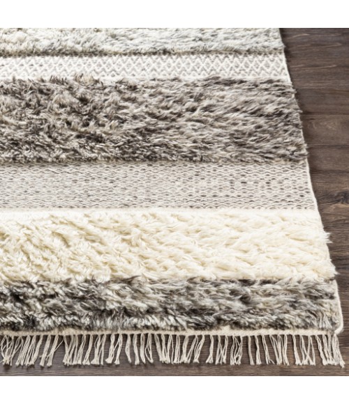 Livabliss Tulum TMU-2302 9  x 12  Rug