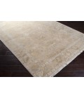 TRANSCENDENT RUG Surya Transcendent TNS-9002-2x3 rug