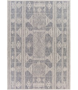 Livabliss Tuareg TRG2305 Taupe Pewter Area Rug 5 ft. 3 in. X 7 ft. Rectangle
