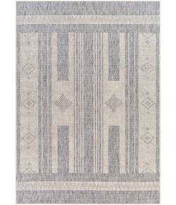 Livabliss Tuareg TRG2320 Taupe Light Grey Area Rug 5 ft. 3 in. X 7 ft. Rectangle