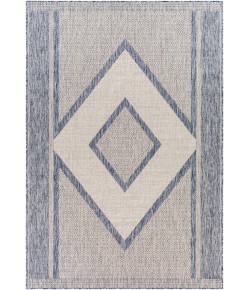 Livabliss Tuareg TRG2332 Taupe Light Grey Area Rug 5 ft. 3 in. X 7 ft. Rectangle