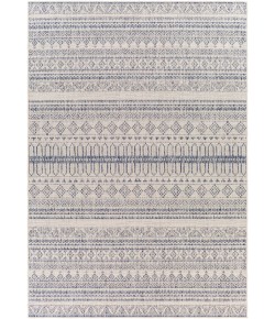 Livabliss Tuareg TRG2338 Light Grey Taupe Area Rug 5 ft. 3 in. X 7 ft. Rectangle