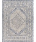 Livabliss Tuareg Rug TRG2345