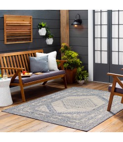 Livabliss Tuareg TRG2345 Taupe Pewter Area Rug 5 ft. 3 in. X 7 ft. Rectangle