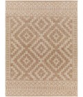 Livabliss Tuareg Rug TRG2351