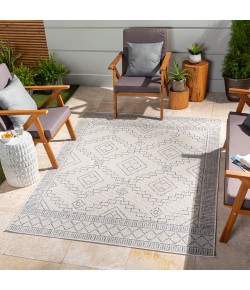 Livabliss Tuareg TRG2356 Taupe Pewter Area Rug 5 ft. 3 in. X 7 ft. Rectangle