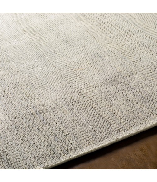 Surya Tribeca TRI-2301 4  x 6  Rug
