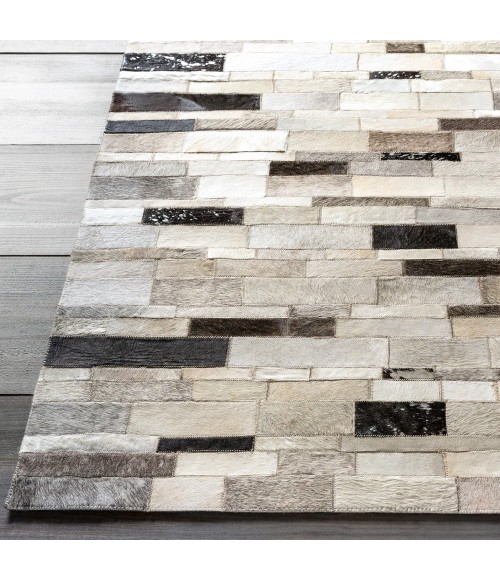 TRAIL RUG Surya Trail TRL-1120-5x8 rug