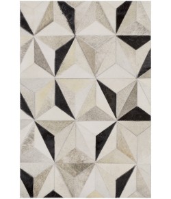 Surya Trail TRL1128 Charcoal Medium Gray Area Rug 2 ft. X 3 ft. Rectangle