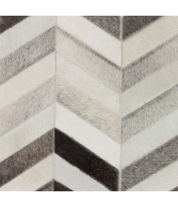 Surya Trail TRL1129 Ivory Medium Gray Area Rug 8 ft. Square