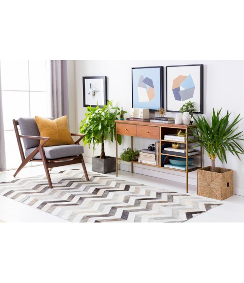 TRAIL RUG Surya Trail TRL-1129-2x3 rug