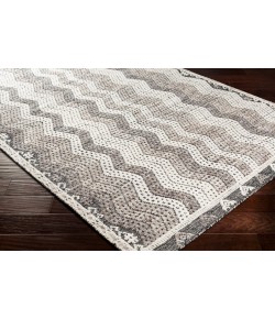 Surya Tunus TUN2302 Ivory Medium Gray Area Rug 6 ft. X 9 ft. Rectangle